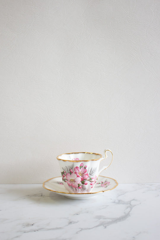 midcentury english adderley "pink wild roses" teacup and saucer