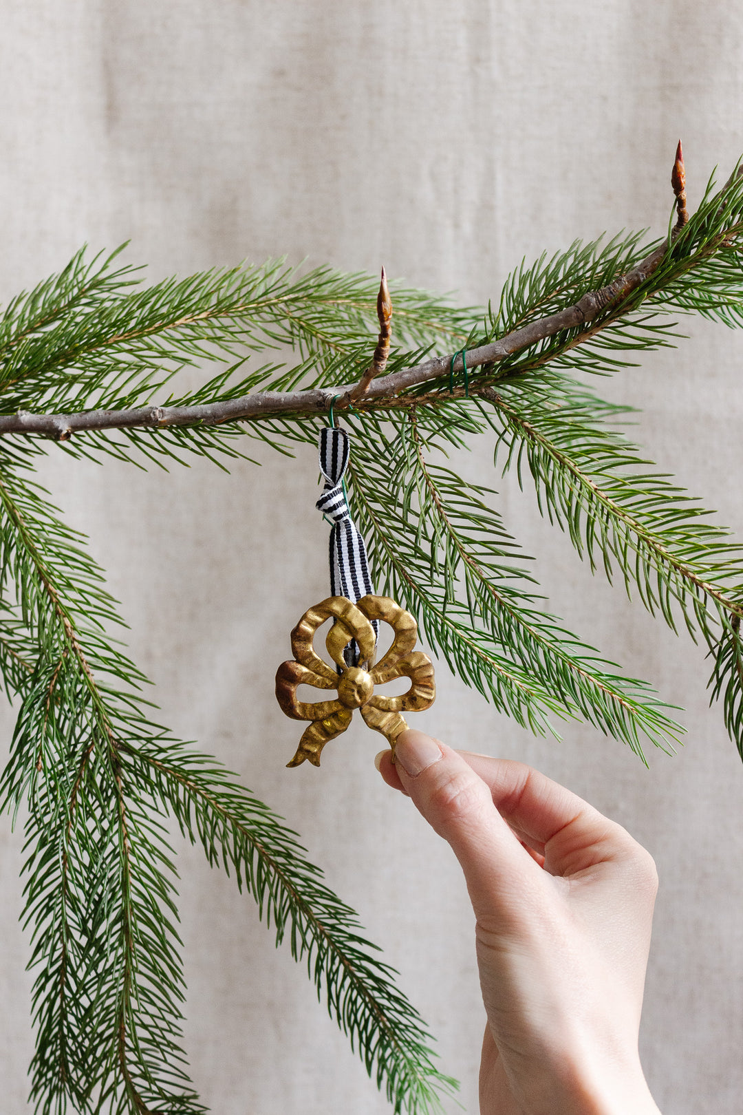 antique french large "cache-clou" bow