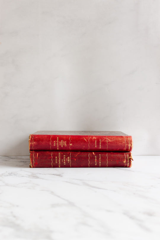 pair of antique french hardcover books circa 1800s