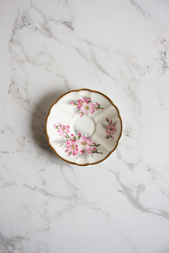 midcentury english adderley "pink wild roses" teacup and saucer