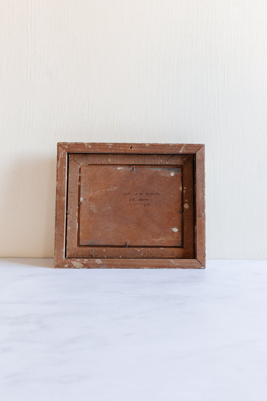 les vagues agitées du côte