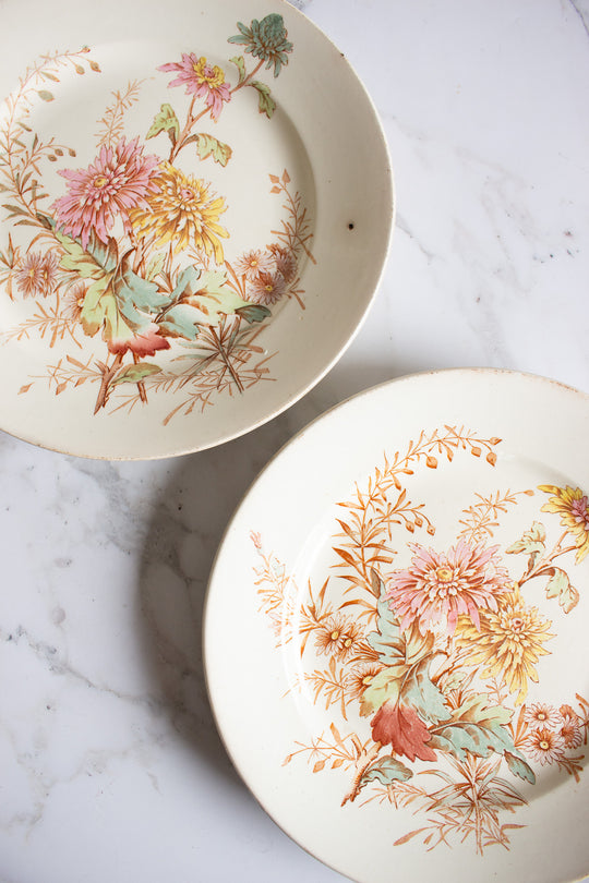 pair of antique french luneville "chrysanthème"  polychrome plates