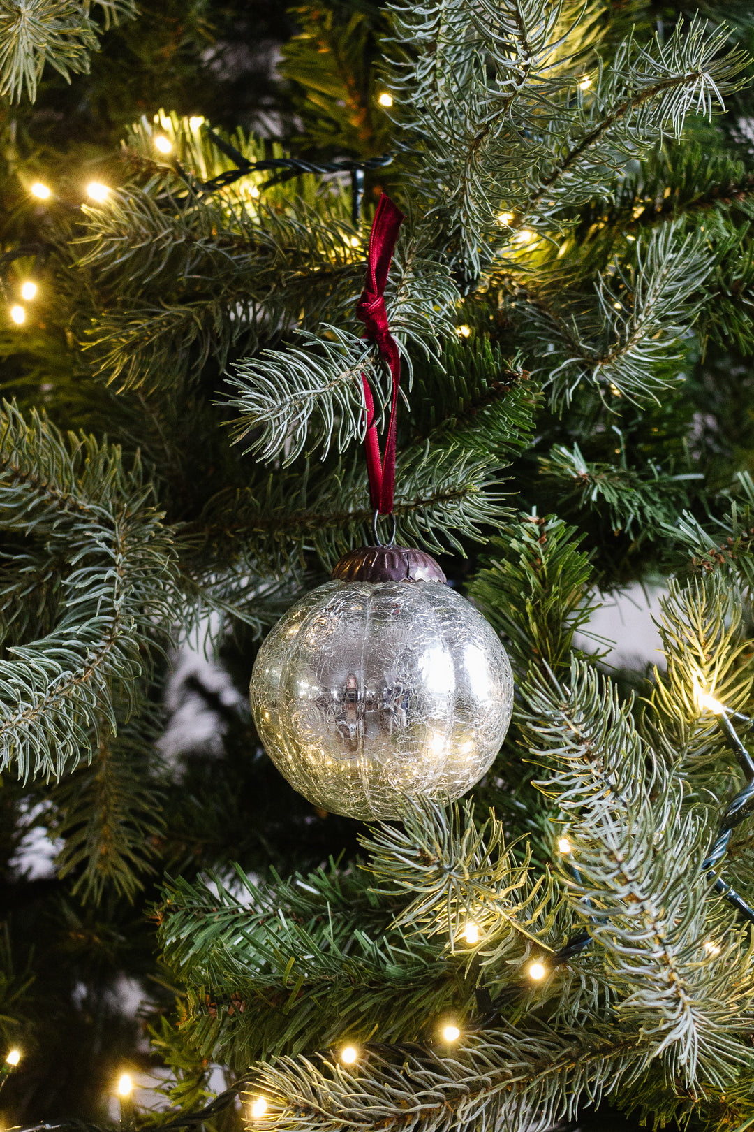 A rare vintage French mercury glass ball hangs from a red ribbon on a Christmas tree branch, surrounded by green pine needles and warm white string lights.