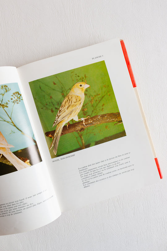 vintage french book "grand manuel de carniculture"