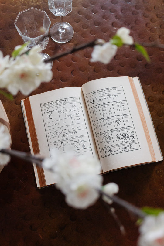 rare hardcover "guide de l'amateur de porcelaines et de fayences" antique book