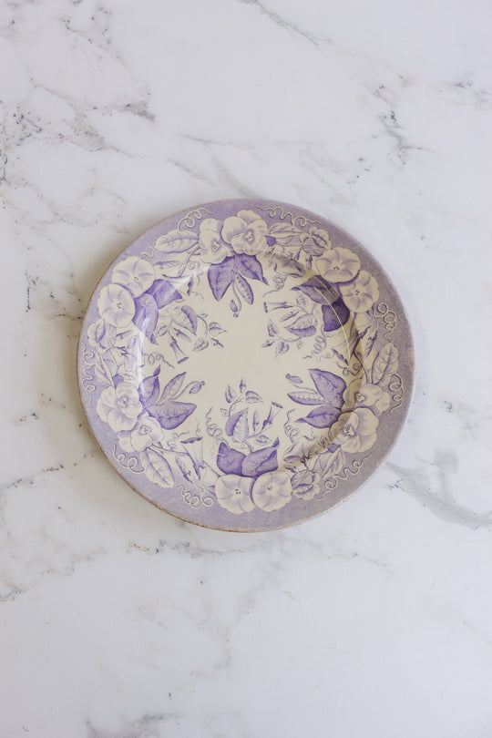 antique david johnston & jules vieillard & cie violet plate circa 1850