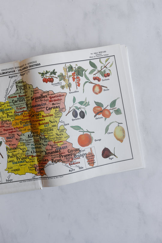 vintage book, “Terence Conran's France”