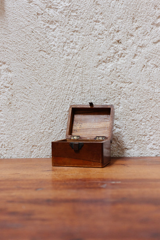antique french olive wood Vichy souvenir box