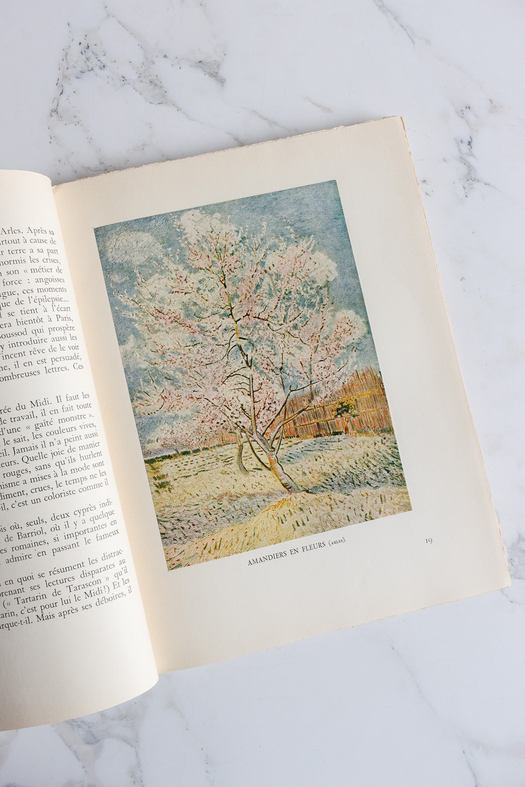 "vincent van gogh: a portrait" french art book