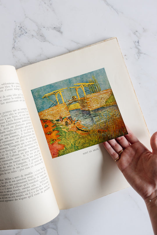 "vincent van gogh: a portrait" french art book