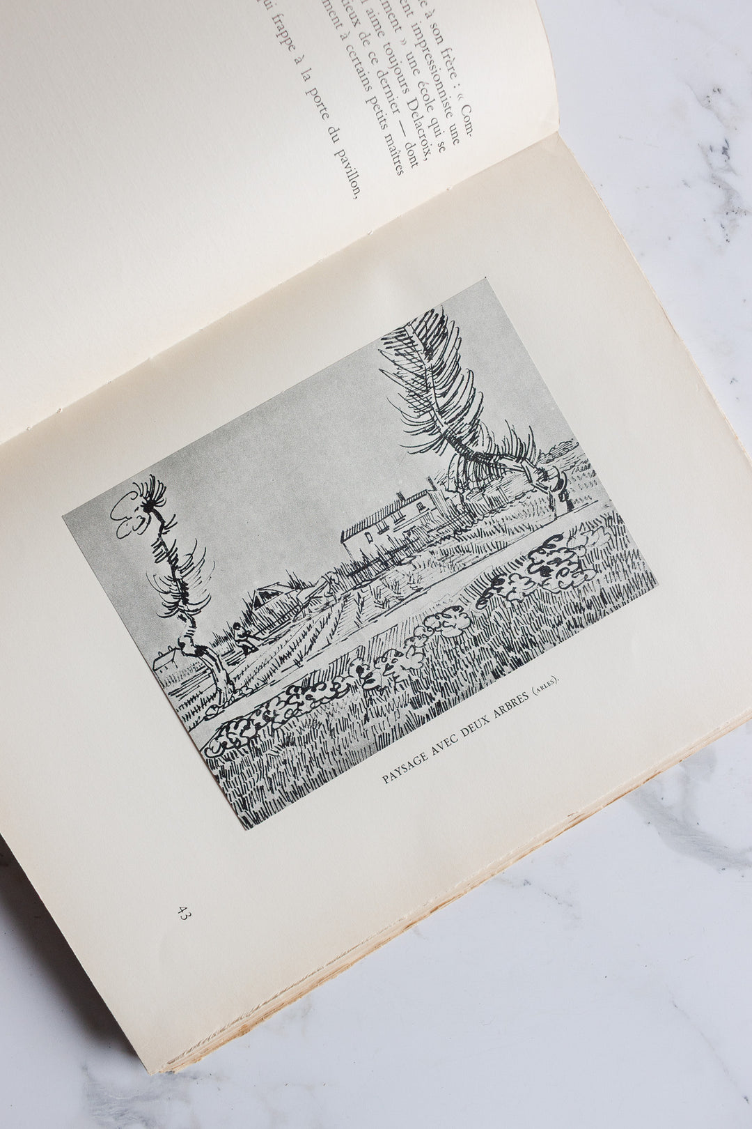 "vincent van gogh: a portrait" french art book