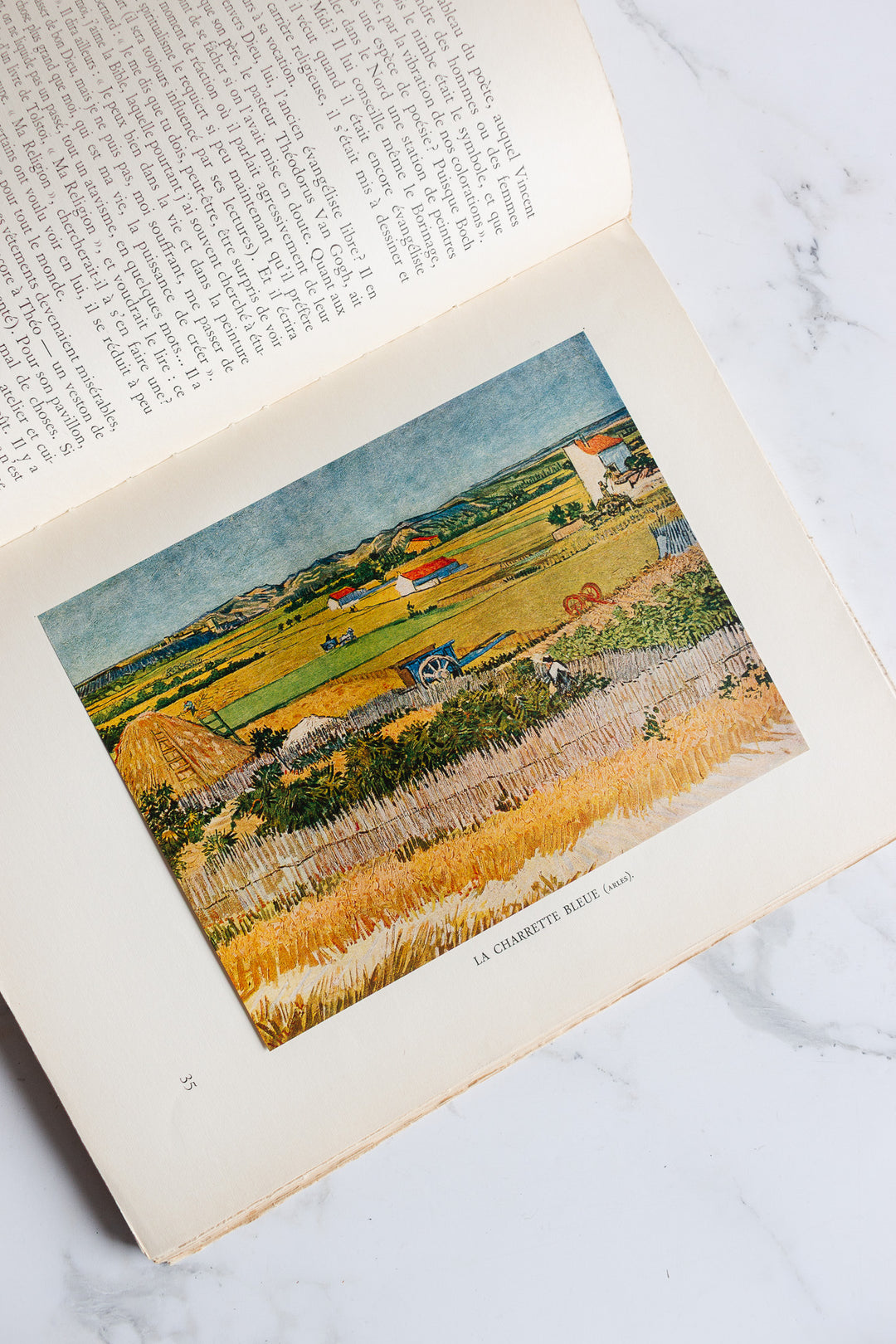 "vincent van gogh: a portrait" french art book