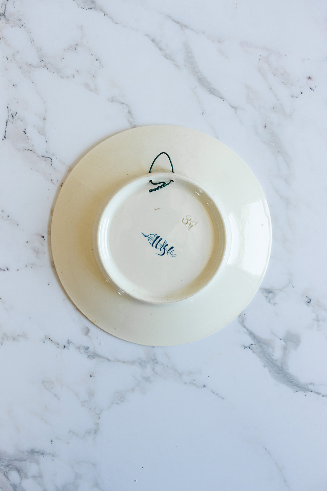 rare 19th century French Sarreguemines ironstone “chien” talking plate