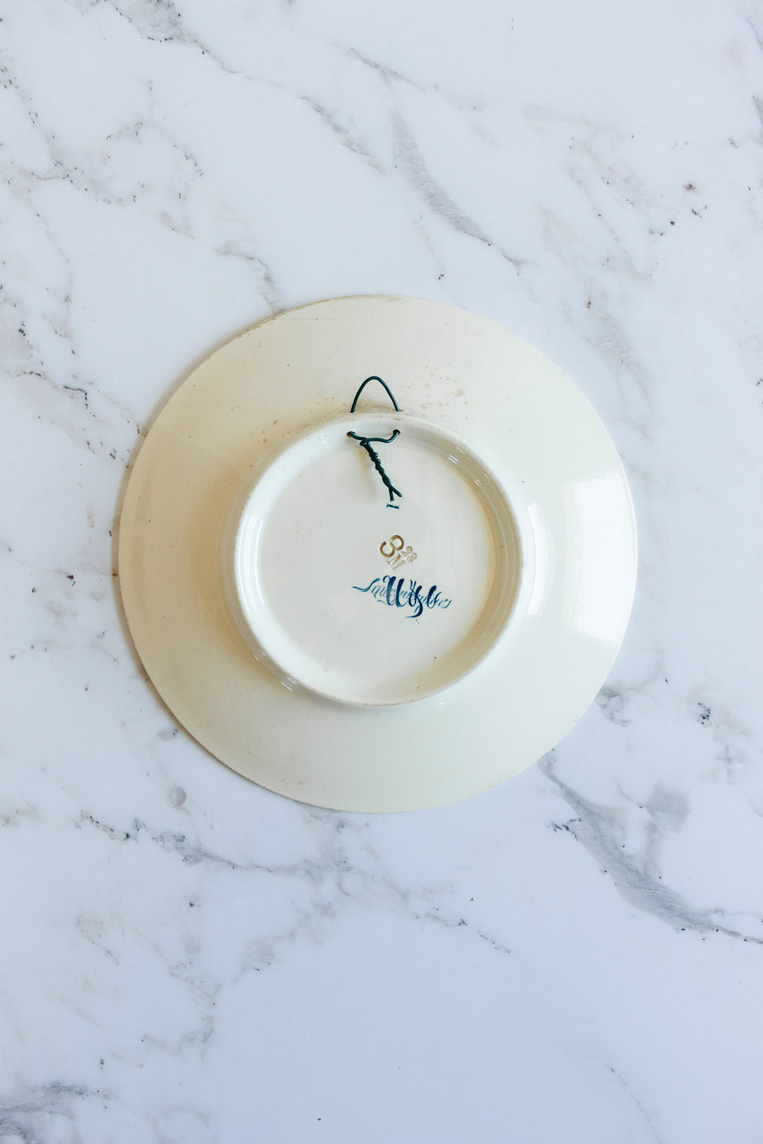 rare 19th century French Sarreguemines ironstone “chien” talking plate