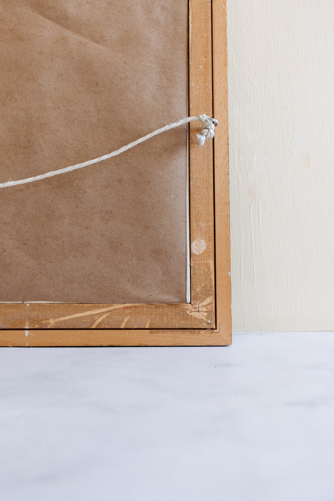 cyclamen rose dans un vase