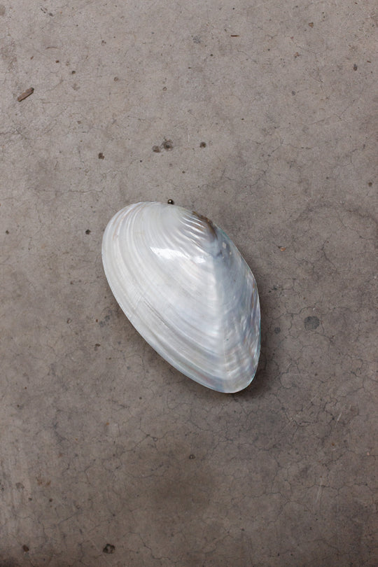 midcentury french velvet interior footed shell box