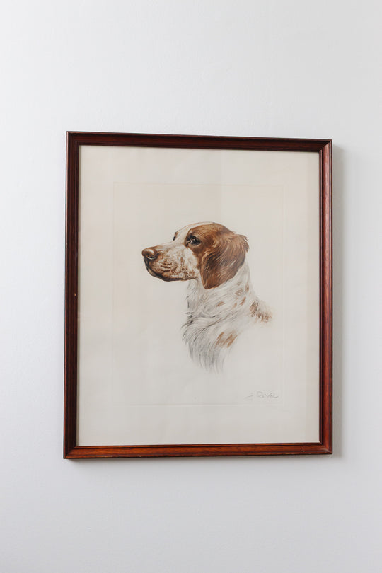 le portrait du chien