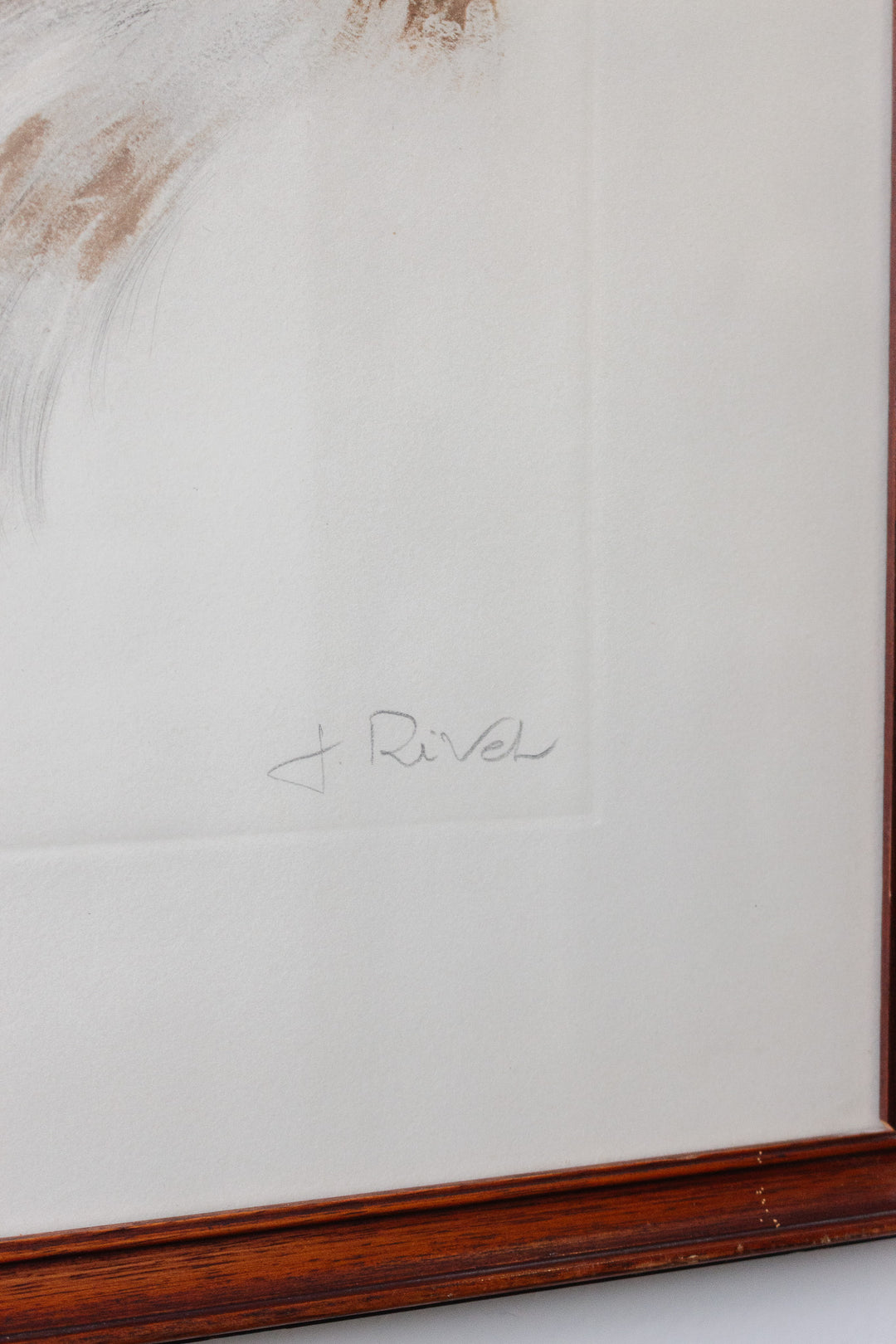 le portrait du chien