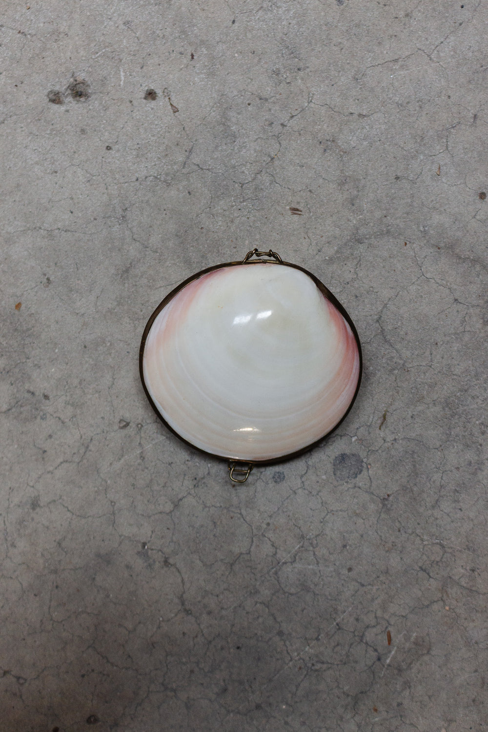 vintage french coquillage trinket box