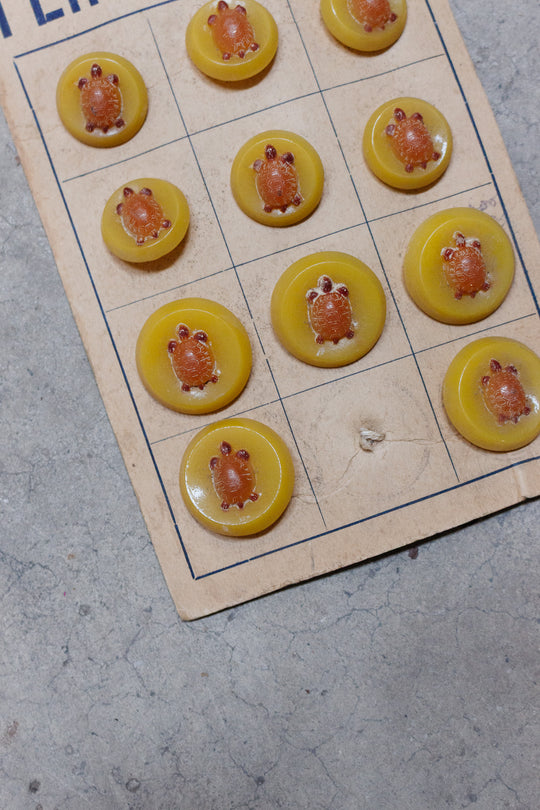 midcentury french unbreakable "plasco" button card