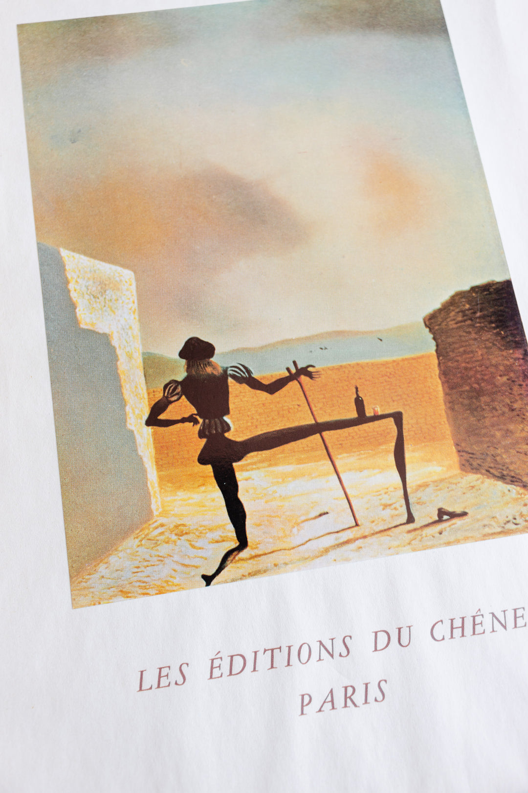 vintage French art book, “dali: les editions du chêne, Paris” first edition