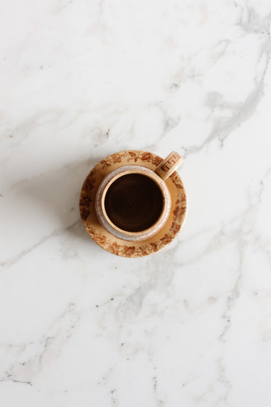 antique villeroy & boch demitasse and saucer