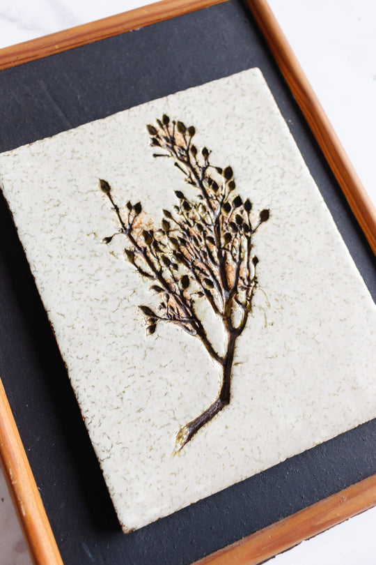 rare 1960s French Vallauris ceramic pressed botanical tile