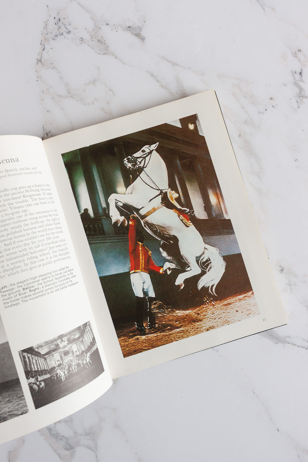 "the beauty of horses" vintage book