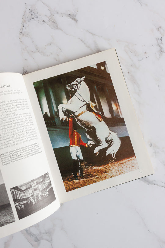 "the beauty of horses" vintage book