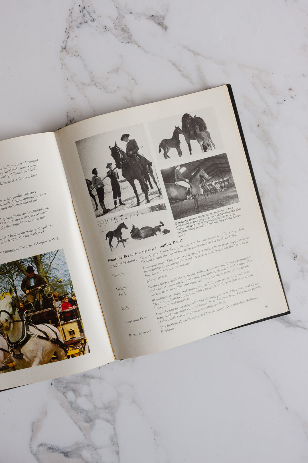 "the beauty of horses" vintage book