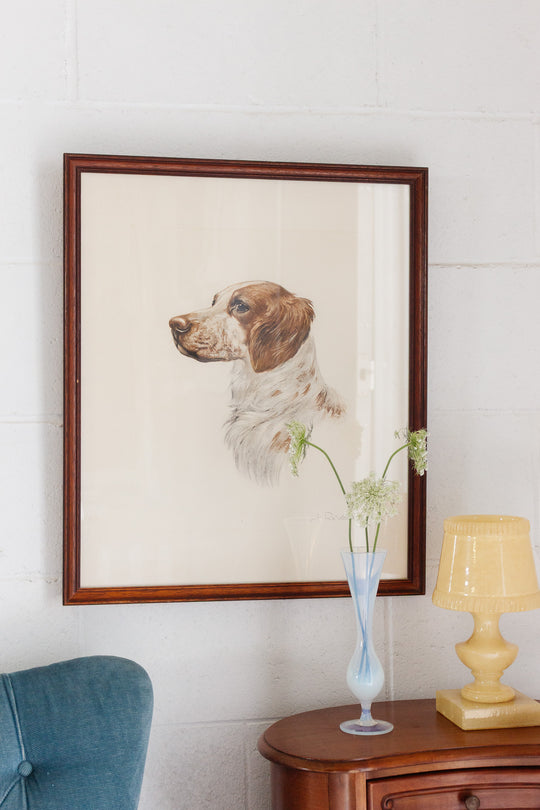 le portrait du chien