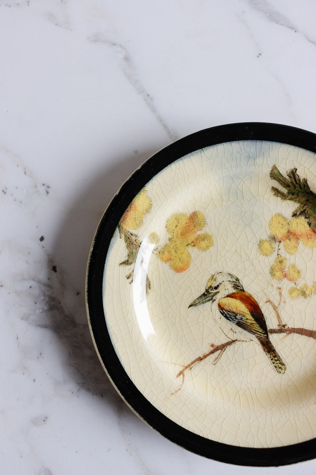 1930s royal doulton hand painted plates, set of 2