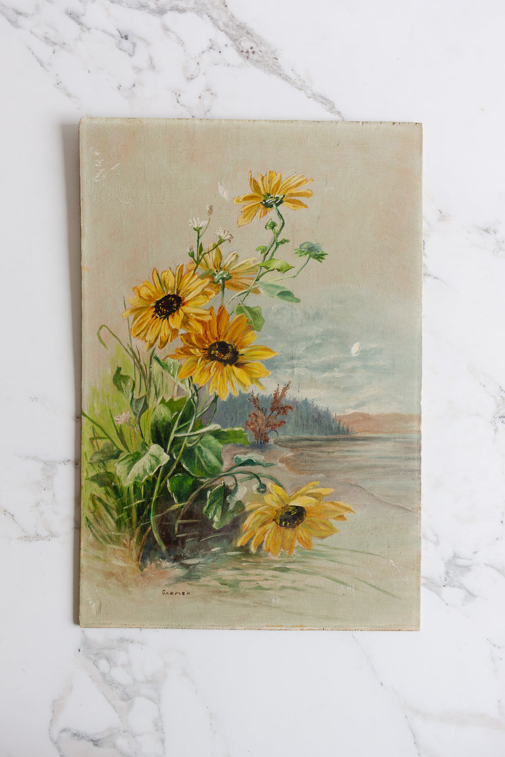 les tournesols qui fleurissent