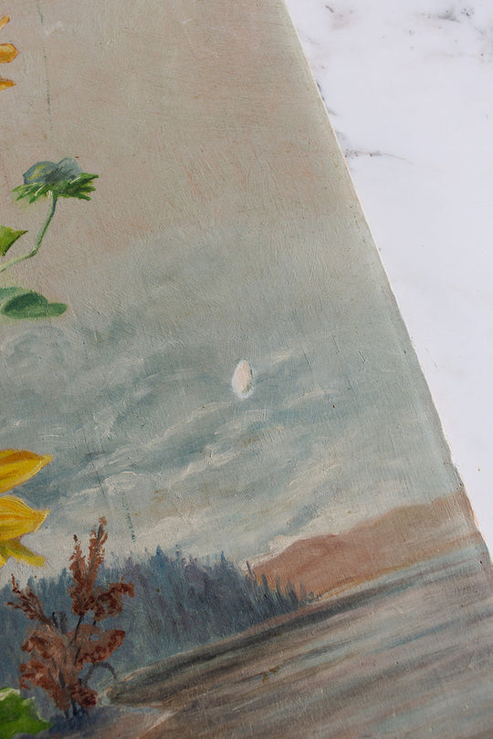 les tournesols qui fleurissent