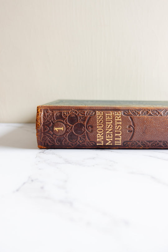 antique french nouveau larousse illustré leather bound book