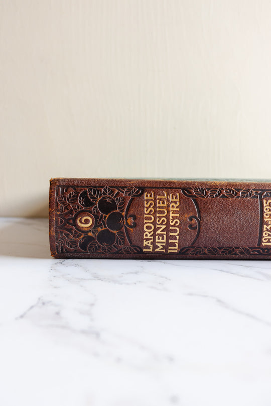 antique french nouveau larousse illustré leather bound book