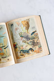antique french nouveau larousse illustré leather bound book