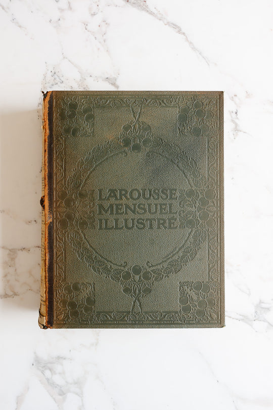 antique french nouveau larousse illustré leather bound book