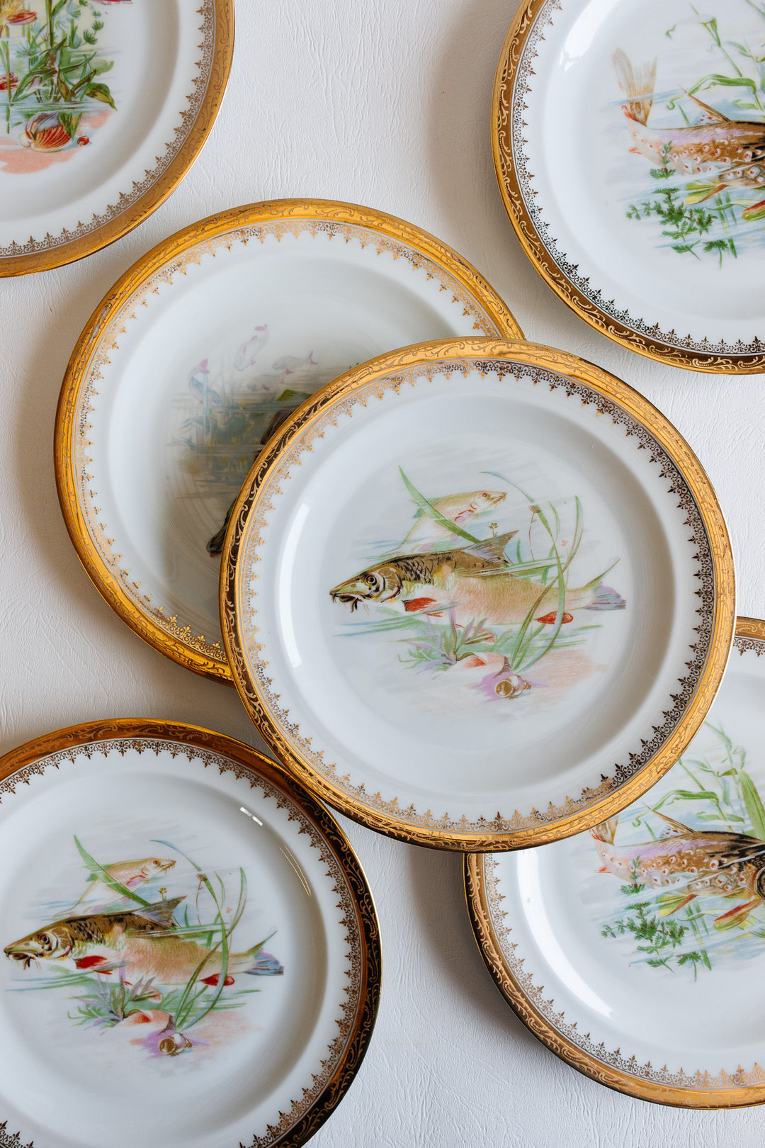 set of 12 midcentury french limoges fish plates