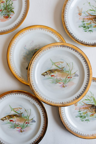 set of 12 midcentury french limoges fish plates