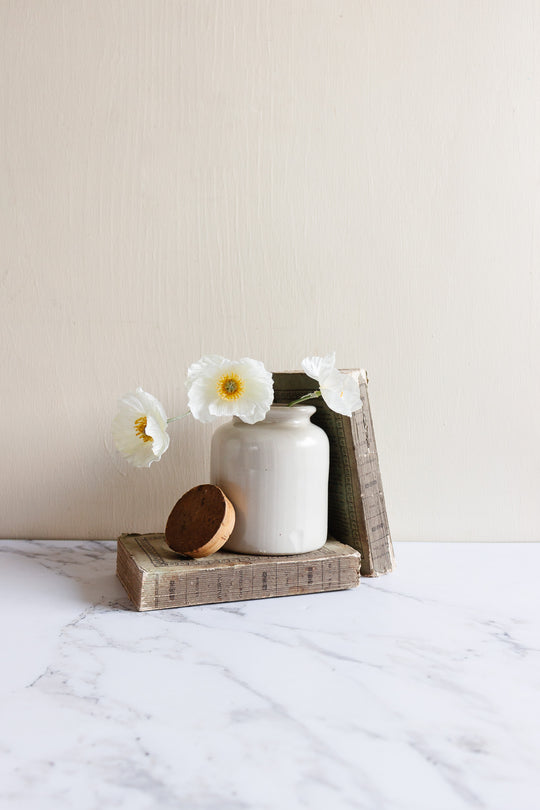 vintage French mustard jar with cork