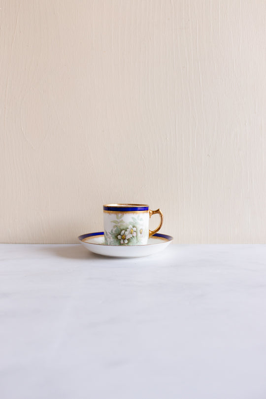 rare turn of the century w.a.a. and co adderley "small fern" tea set