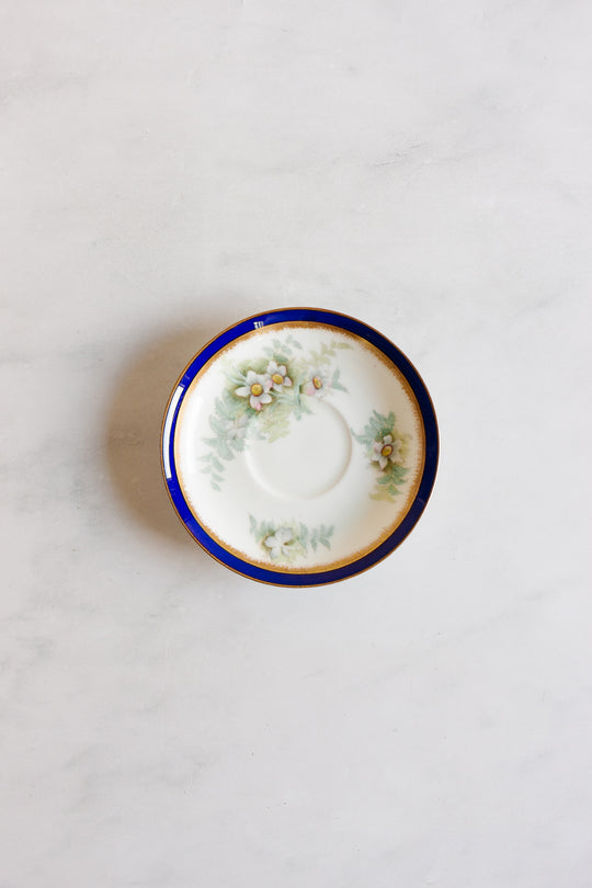 rare turn of the century w.a.a. and co adderley "small fern" tea set