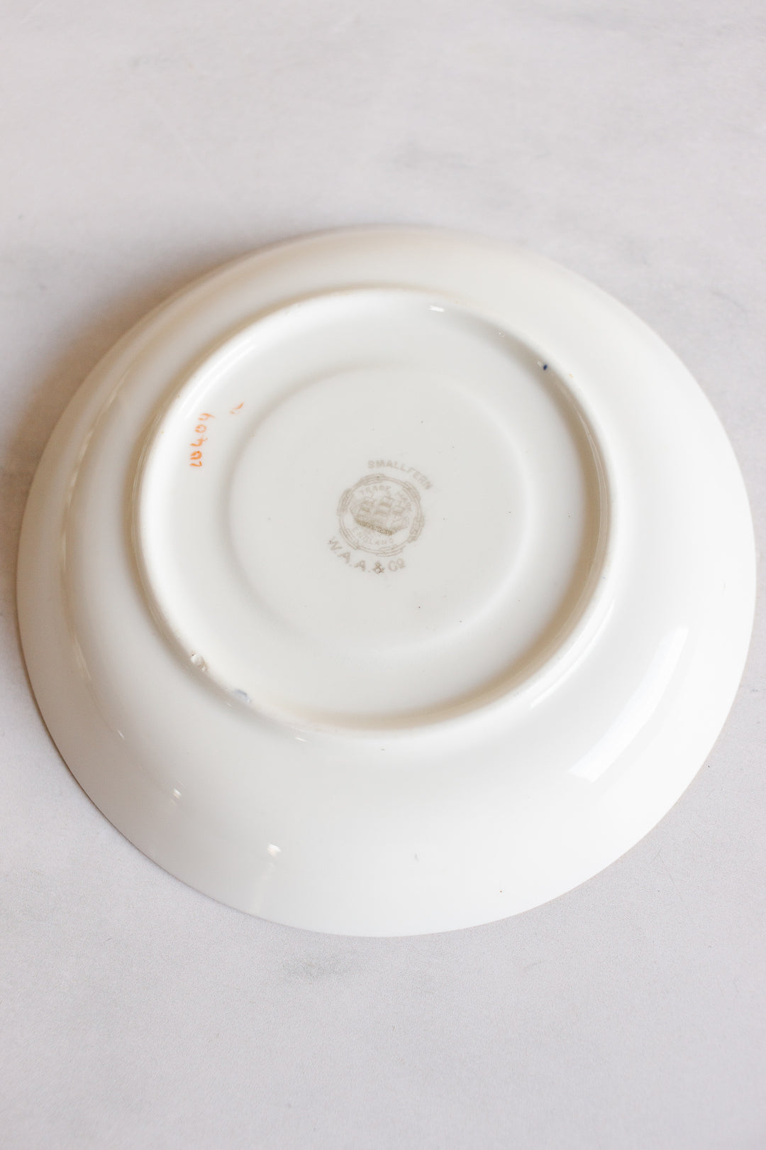 rare turn of the century w.a.a. and co adderley "small fern" tea set