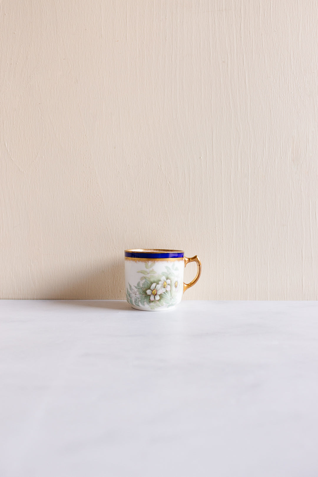 rare turn of the century w.a.a. and co adderley "small fern" tea set