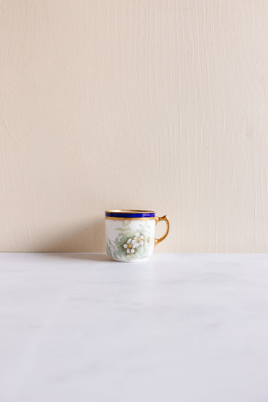 rare turn of the century w.a.a. and co adderley "small fern" tea set