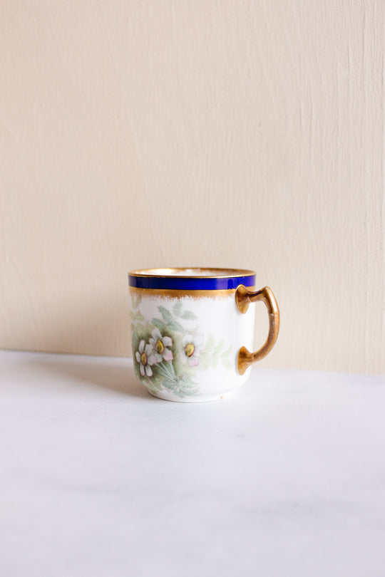 rare turn of the century w.a.a. and co adderley "small fern" tea set