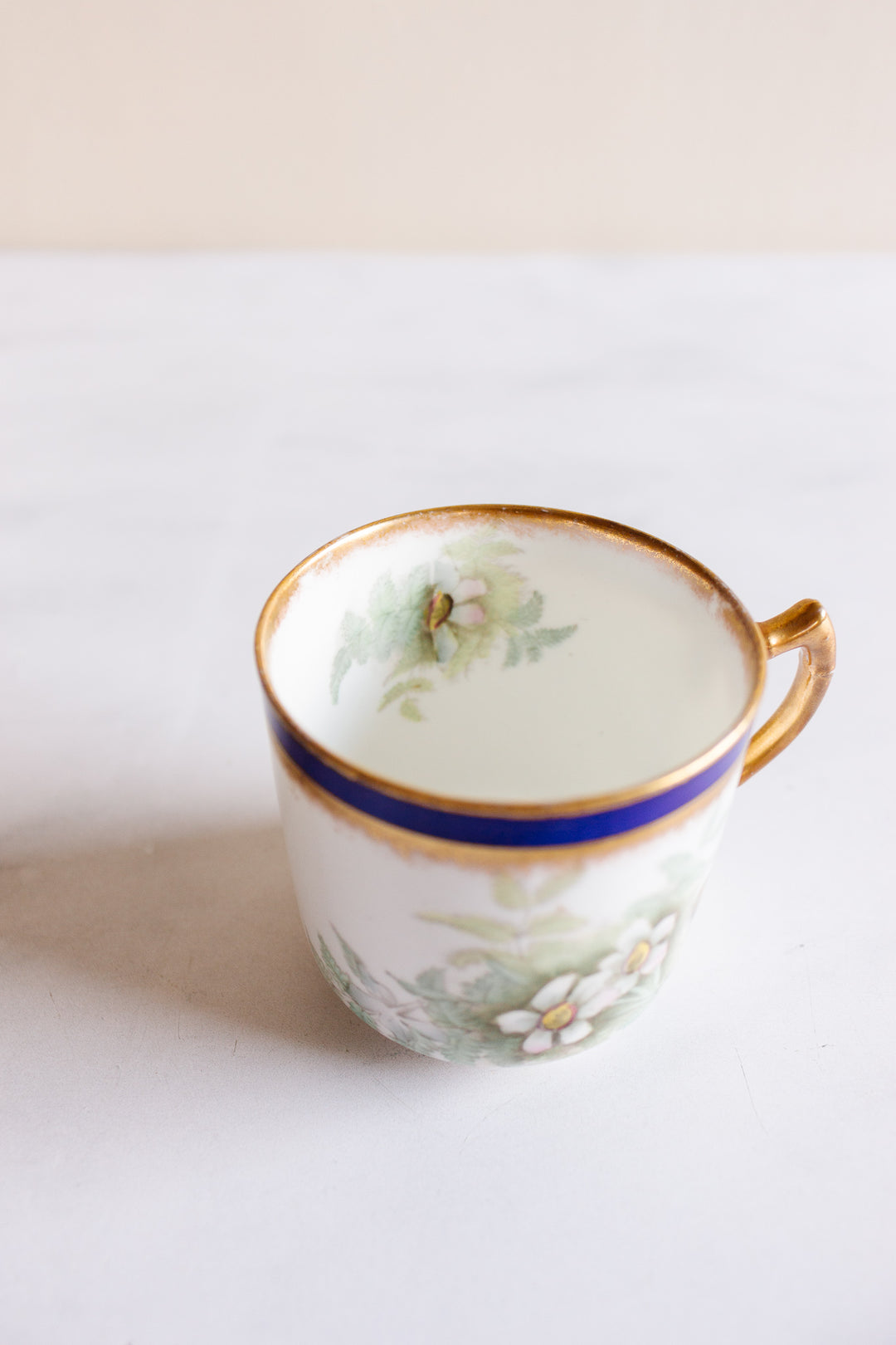 rare turn of the century w.a.a. and co adderley "small fern" tea set