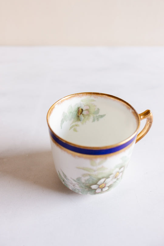 rare turn of the century w.a.a. and co adderley "small fern" tea set