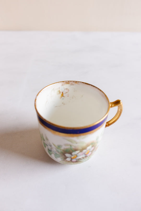 rare turn of the century w.a.a. and co adderley "small fern" tea set